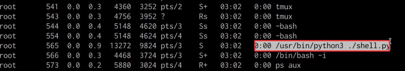 ps aux output with shell.py visible ps aux output with shell.py visible